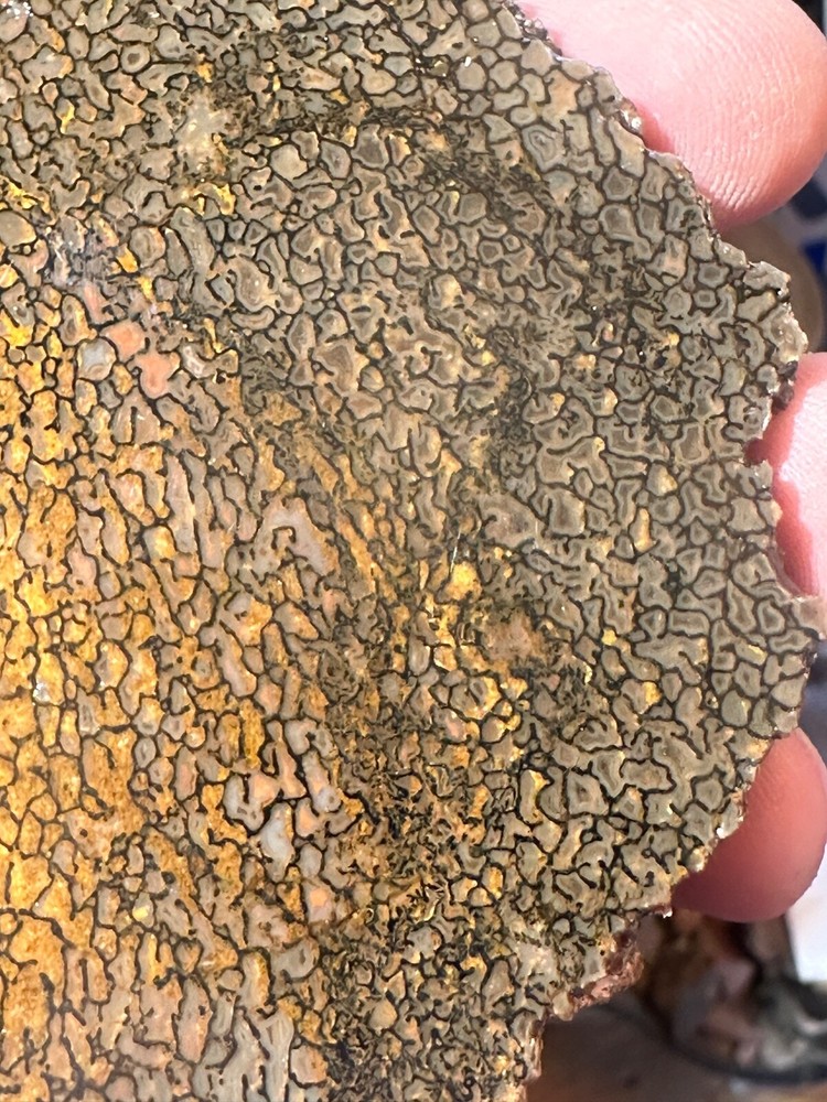 Dinosaur bone rough **hxtled slab.