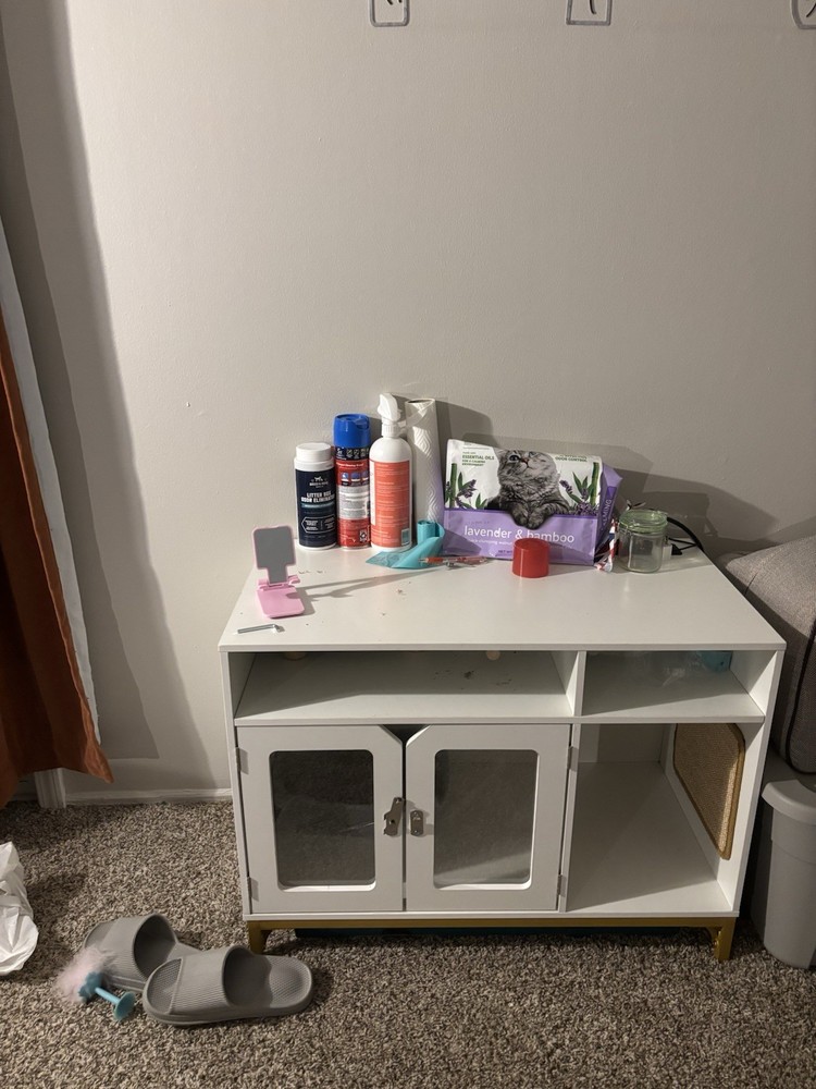 Cat litter Box Enclosure