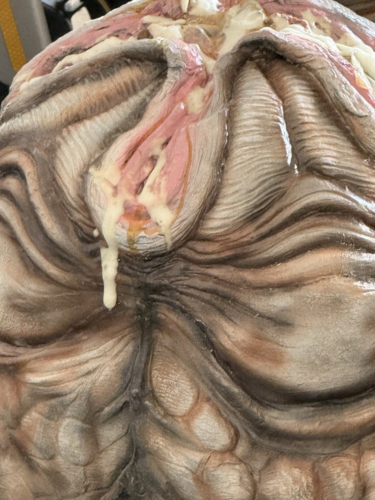 Alien/Xenomorph Eggs