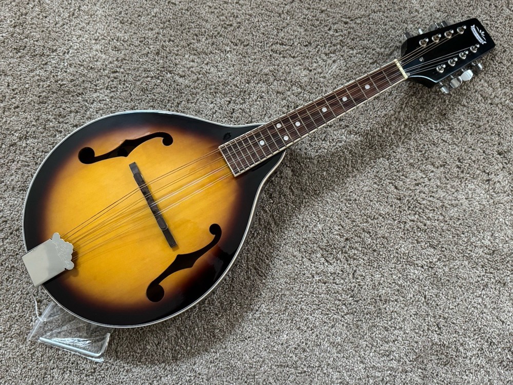 Morgan Monroe MM-100AM A-Style Mandolin