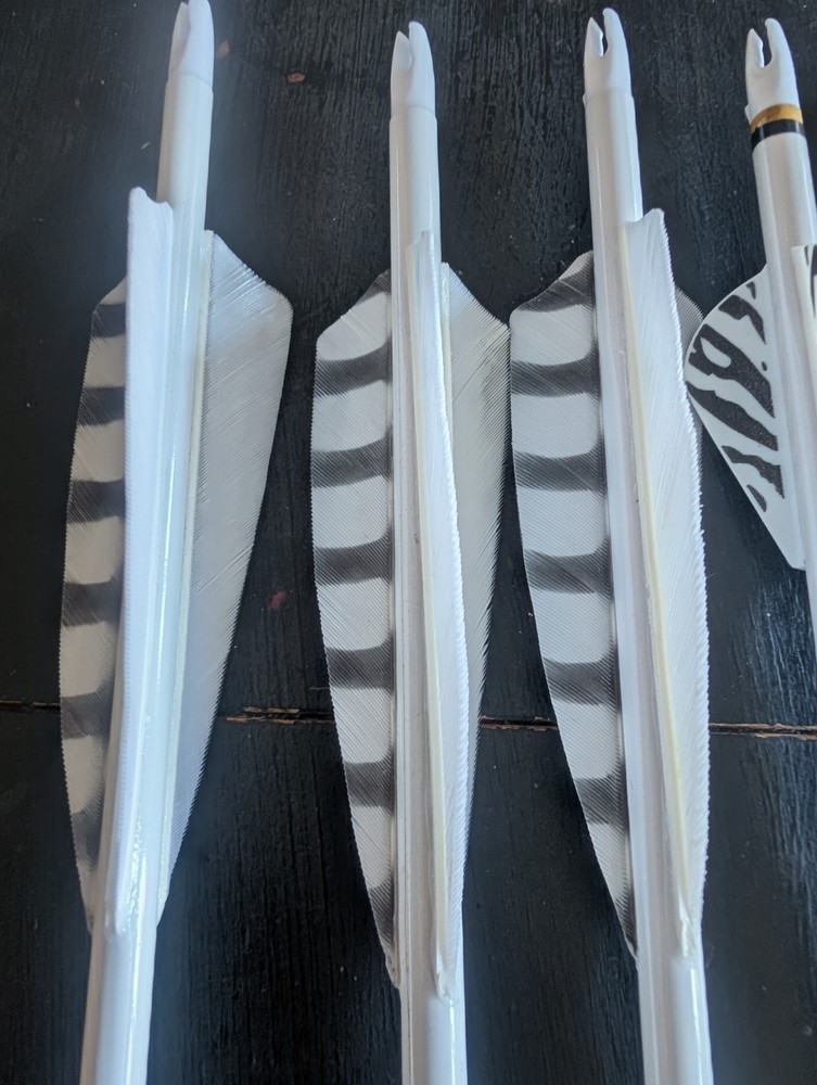 10 Black Eagle arrows