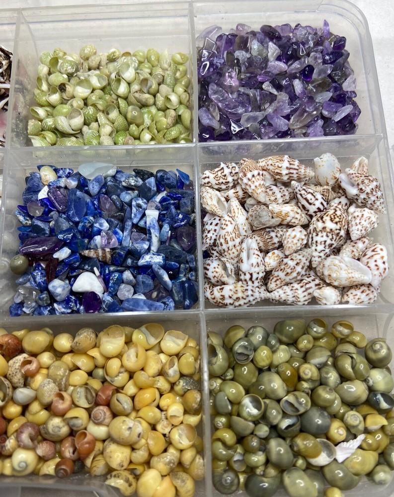11-pack Small Sea Shell and Decorative Sand Bundle / Snails / Bottle Decor