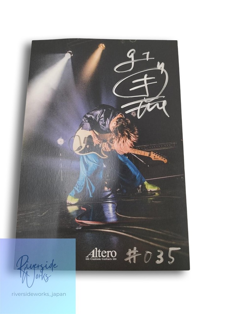 ALTERO KAEDE Custom Guitar Effect Pedal JP