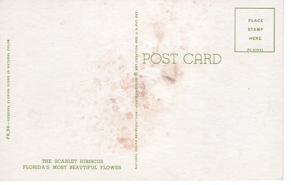 THE SCARLET HIBISCUS - PC5120