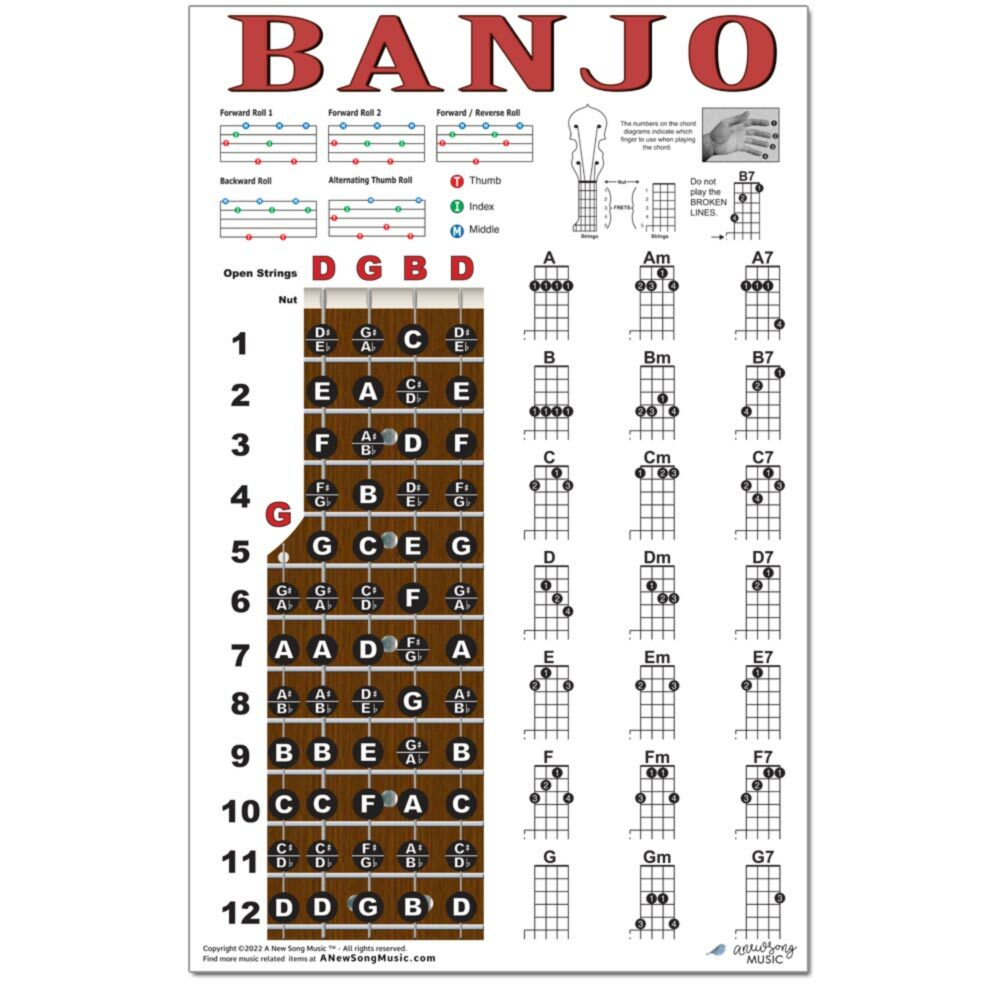 Banjo Chord Chart Poster Fretboard Rolls 5 String Chords Beginner Notes Theory