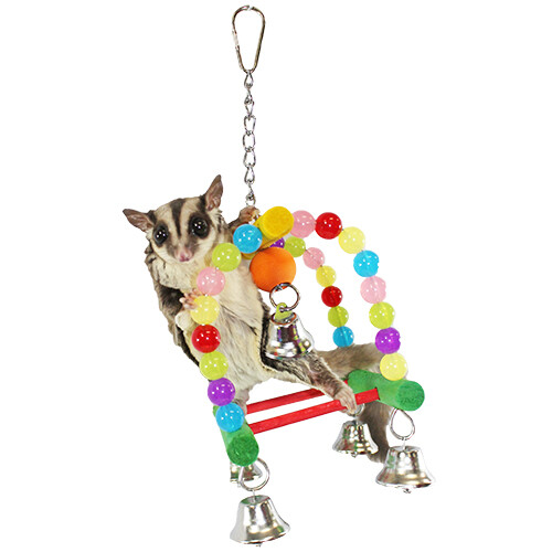 Rainbow Accessory Bundle - Toys / Cage Accessory - Sugar Glider, Squirrel, Degu