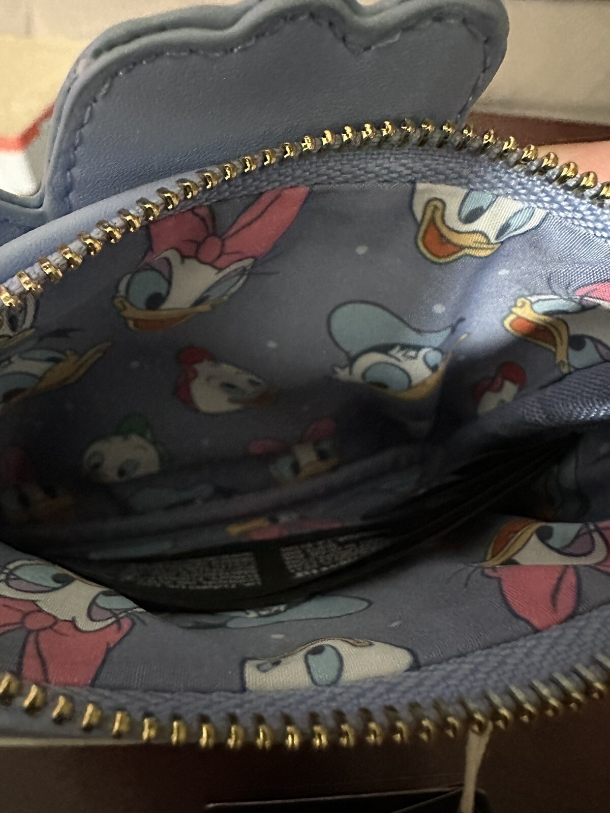 Loungefly Donald and Daisy Family Campfire Coin Purse