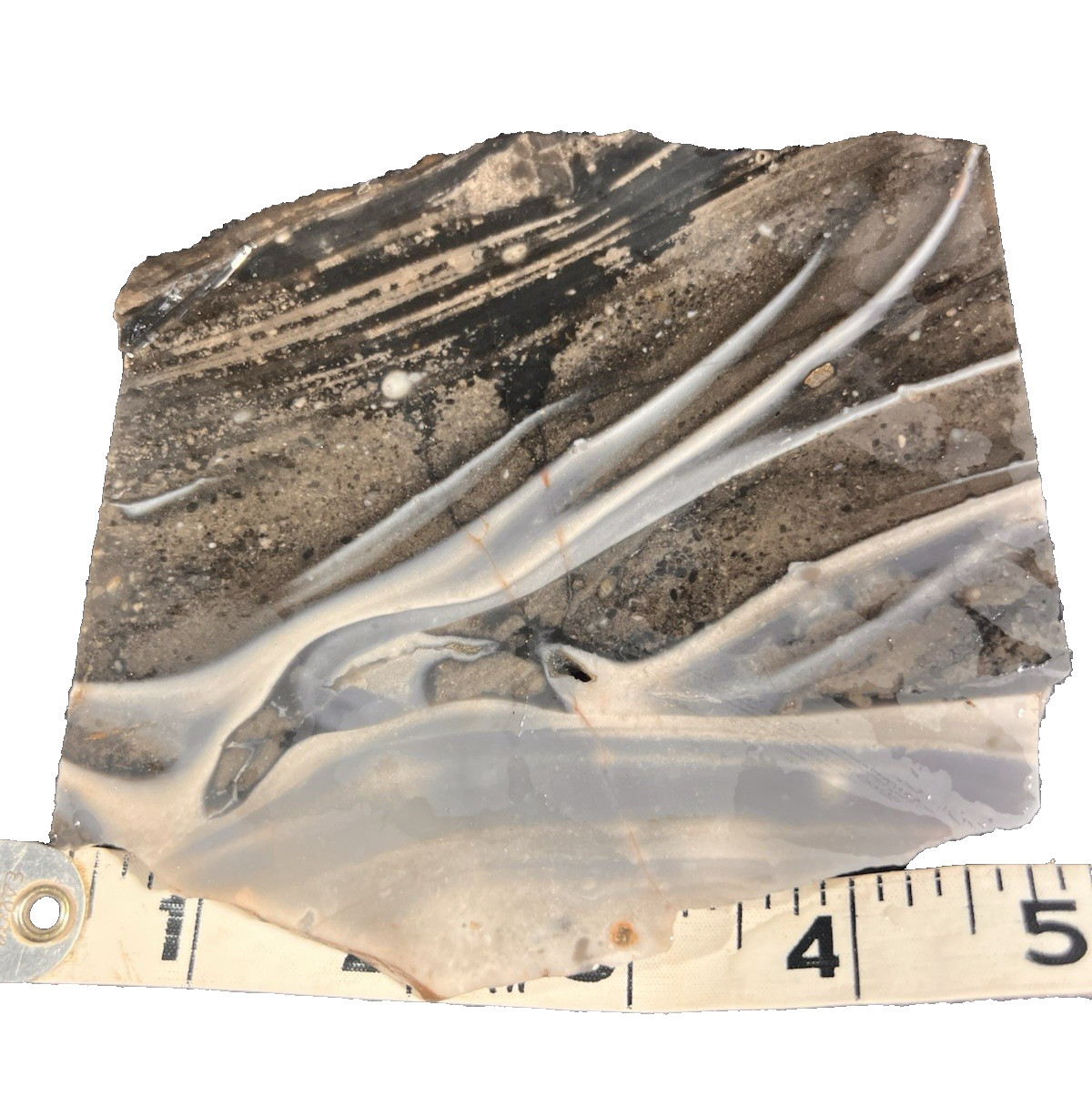 Sarape Jasper Slab 246.6g Mexico, beautiful white/blue/black shades, banded