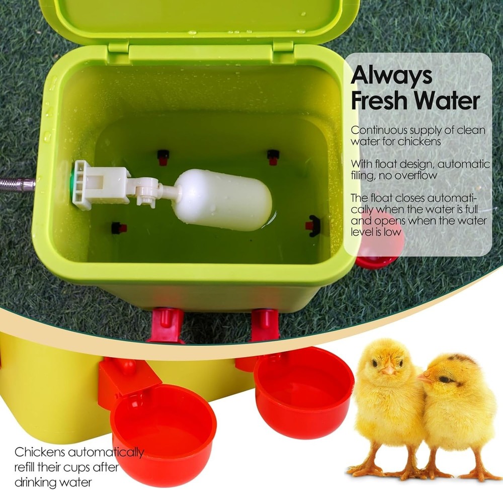 Automatic Chicken Waterer Large Chicken Waterer System Pou