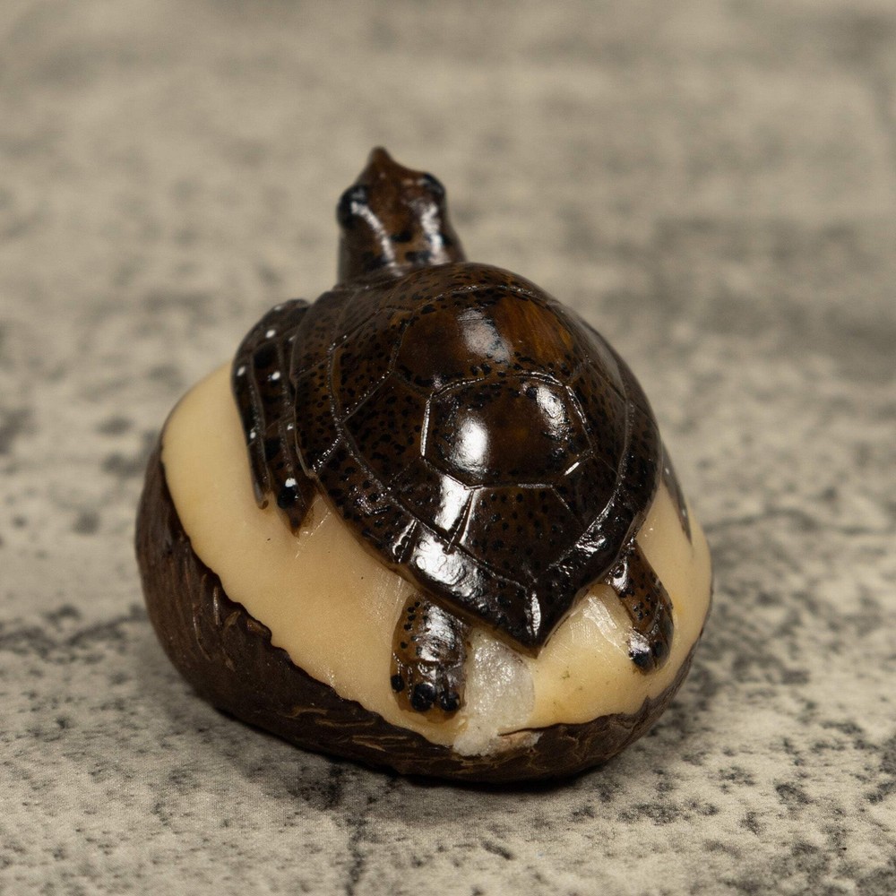 Sea Turtle Tagua Carving