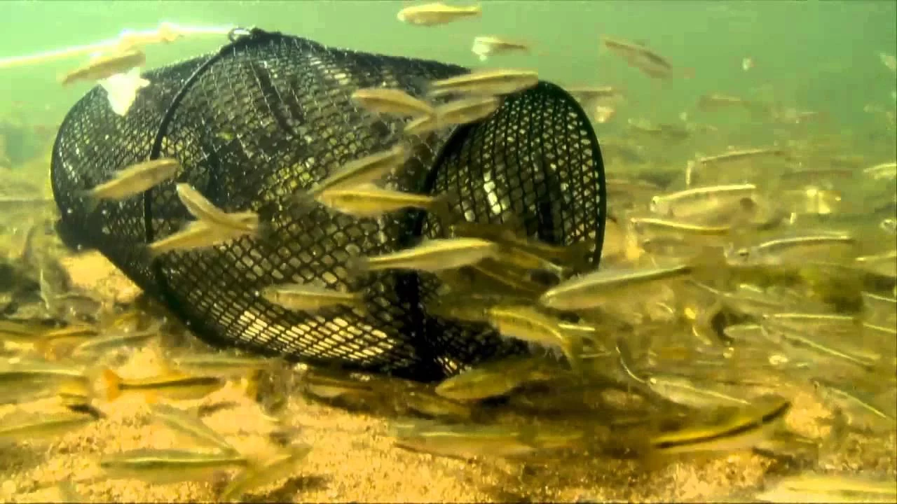 Minnow Trap Torpedo Bait Cast Cage Fishing Shrimp Crawdad Crab Fish Dip Net Trap