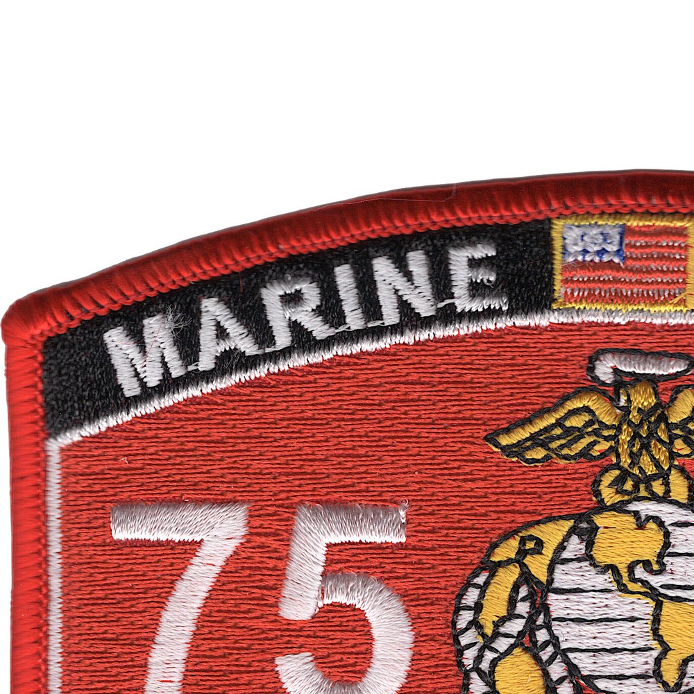 7577 Weapons and Tactics Instructor MOS Patch