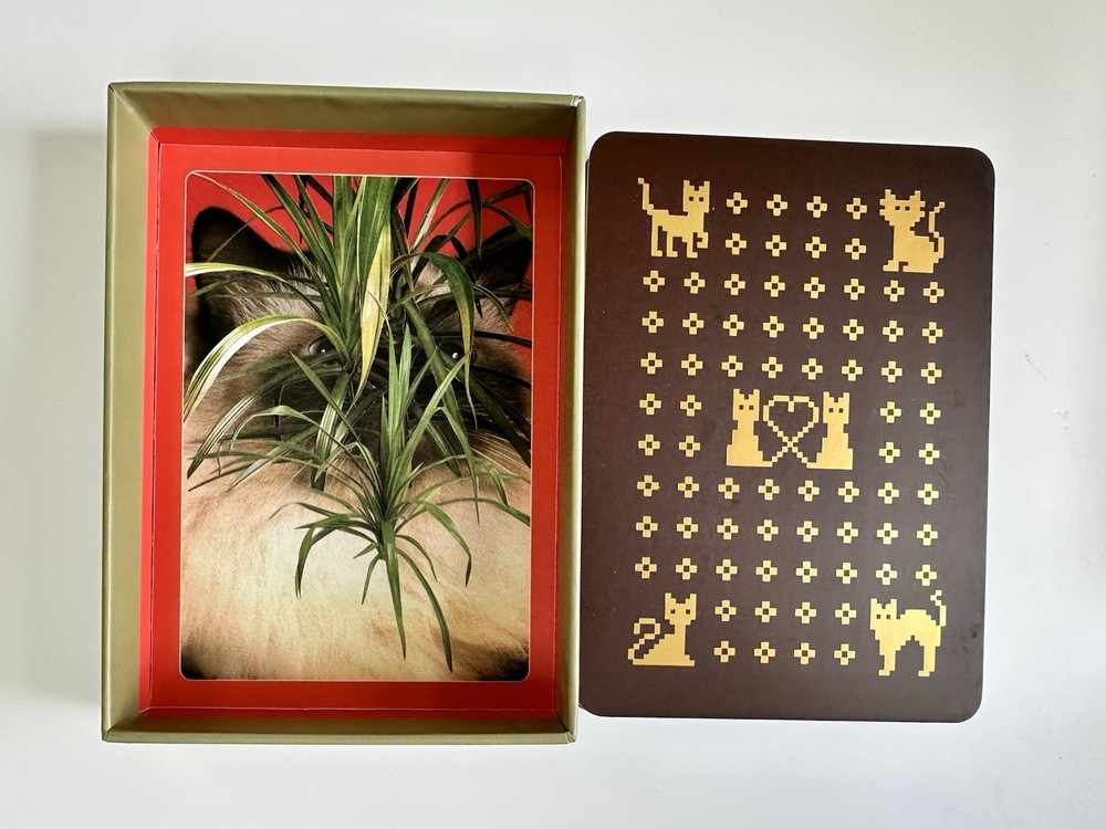 The Cat Oracle 33 Card Deck and Guidebook for Divination