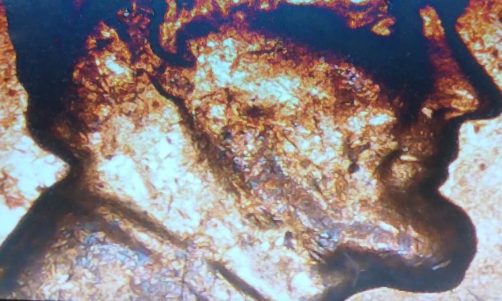 1961 Lincoln Cent DDO Error Coin