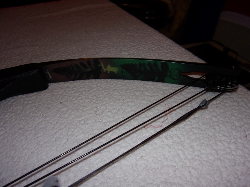 Vintage Compound Bow