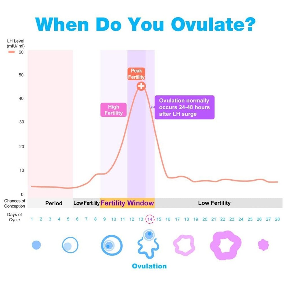 Easy@Home Ovulation Test Strips, 25 Pack Fertility Tests, Ovulation Predictor...