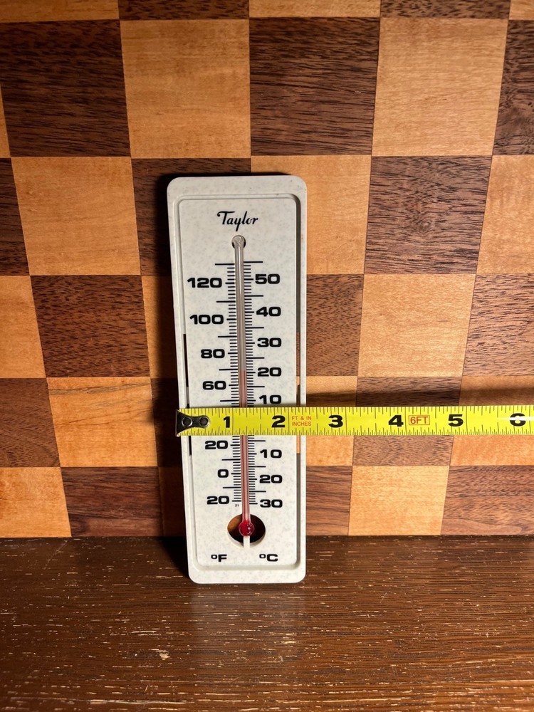 Taylor Resin Wall Thermometer