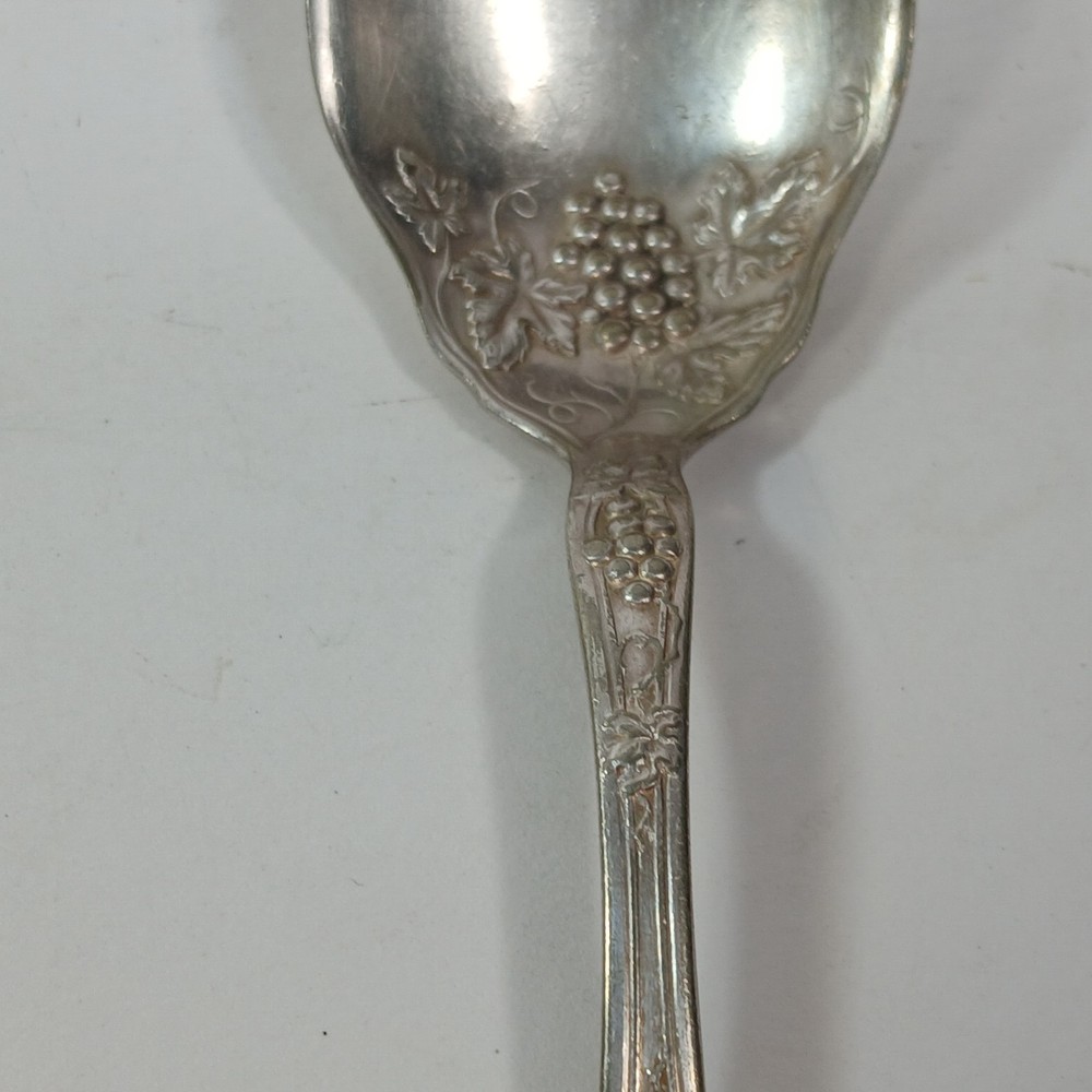 Isabella Grape 1913 R.C. Co. International Silverplate Sugar Spoon Vintage