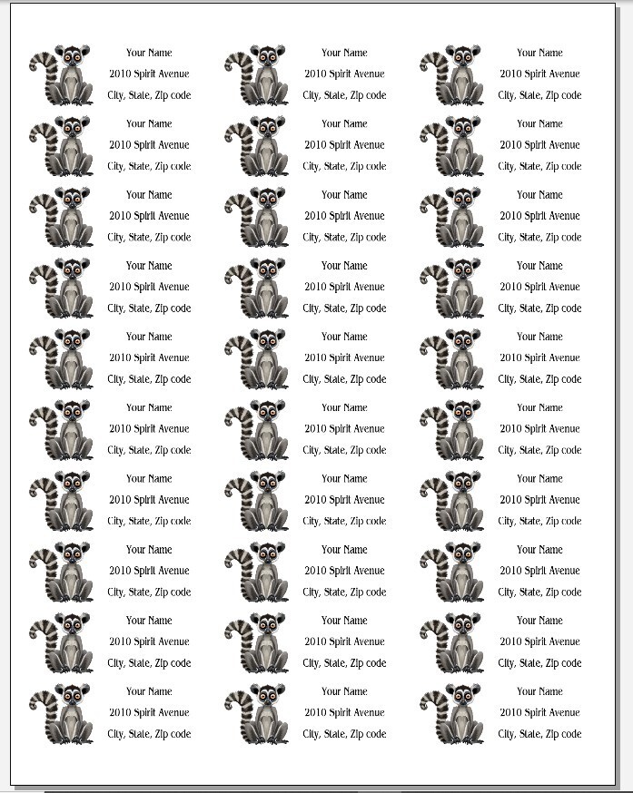 150 Cute Ring-Tailed Lemur Mailing Return Address Labels Personalized