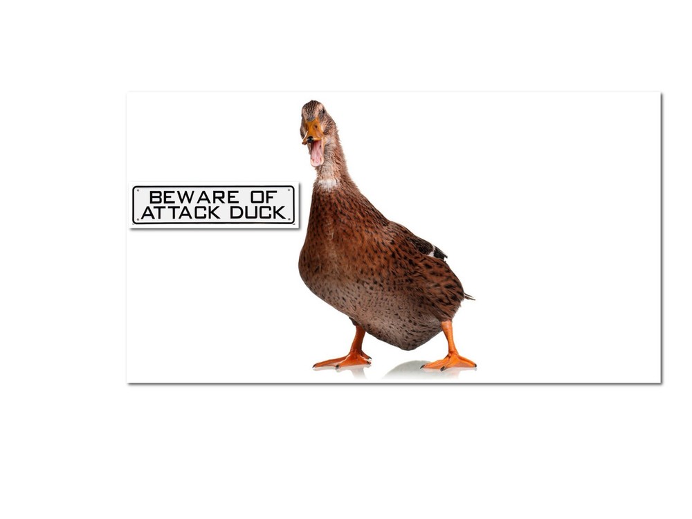 Beware Of Attack Duck Sign
