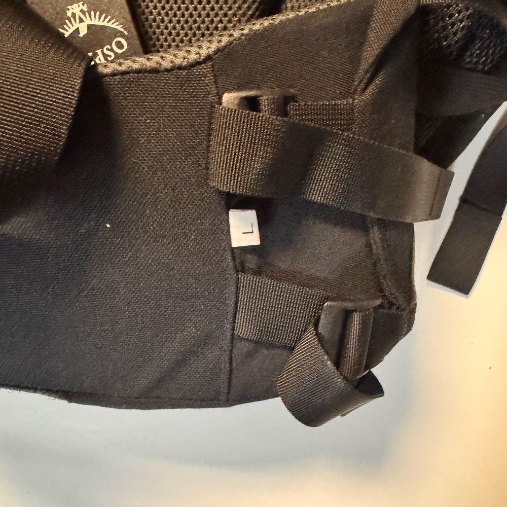 VTG RARE Osprey Aether 90 Hiking Backpack Frame Black & Blue With Large Frame
