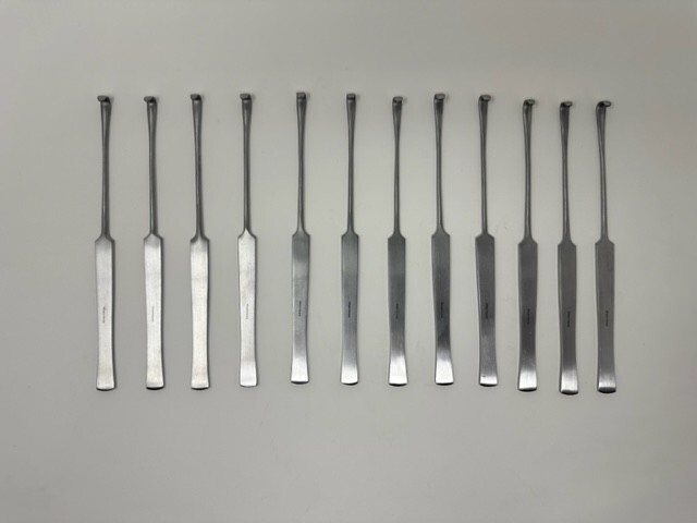 12 Spay Snook Hook Overiectomy Veterinary Surgical Instruments