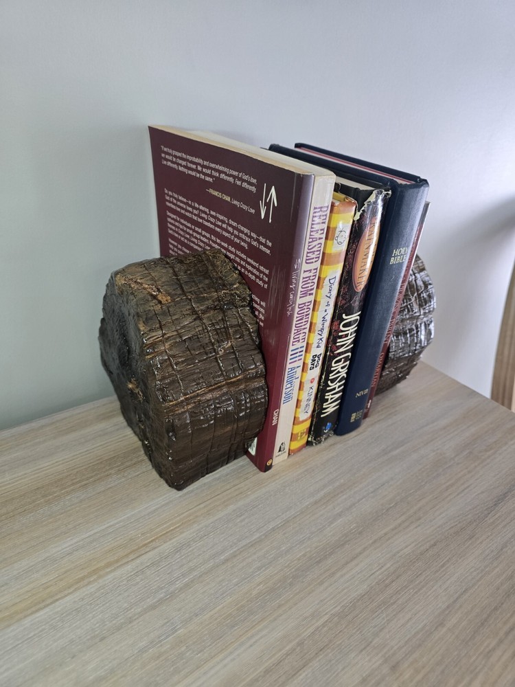 Petrified Wood Book Ends Glossed