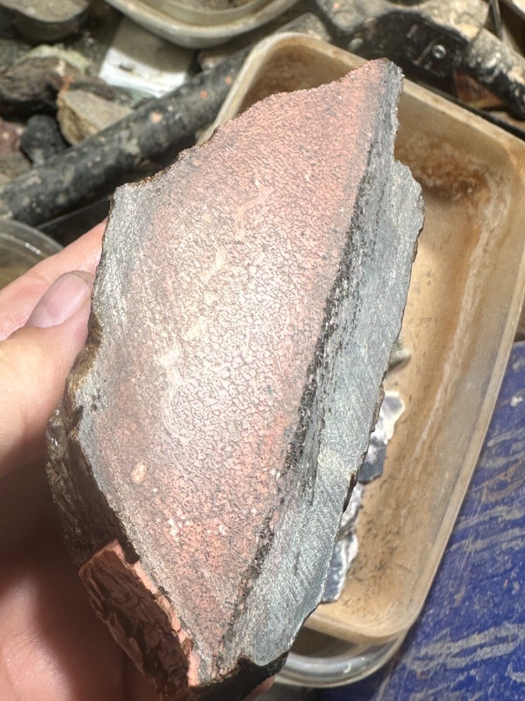 Dinosaur gem bone rough chunk.