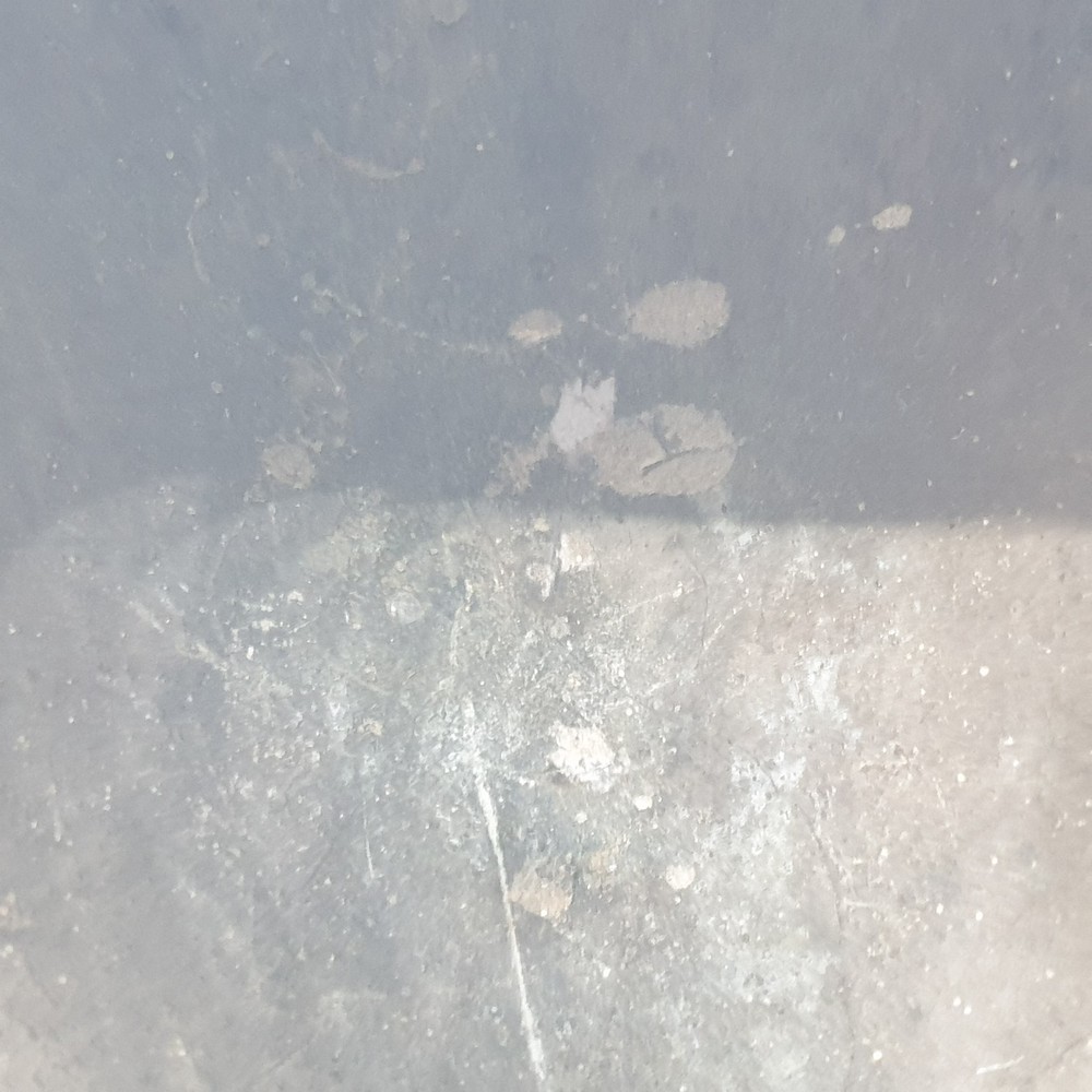 Victorian Silver Plated Nautilus Shell Spoon Warmer