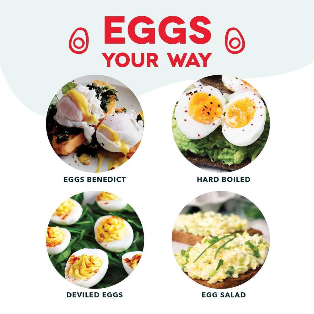DASH Rapid Electric Egg Cooker 7 Eggs: Hard Boiled, Poached, Scrambled, Omelets