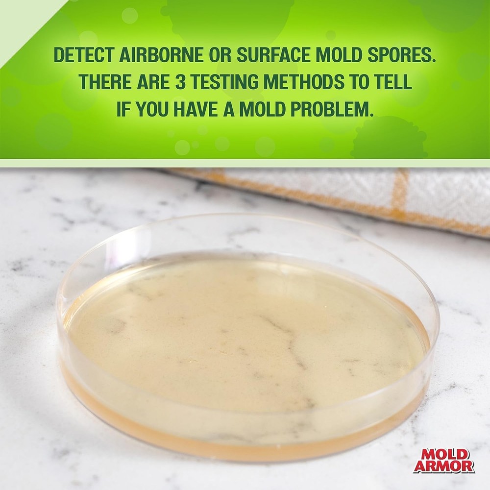 Do It Yourself Mold Kit