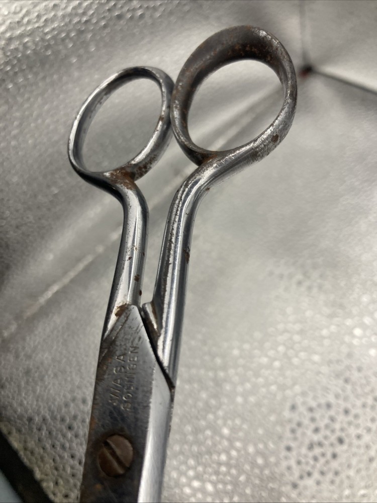 Wasa Solingen Scissors