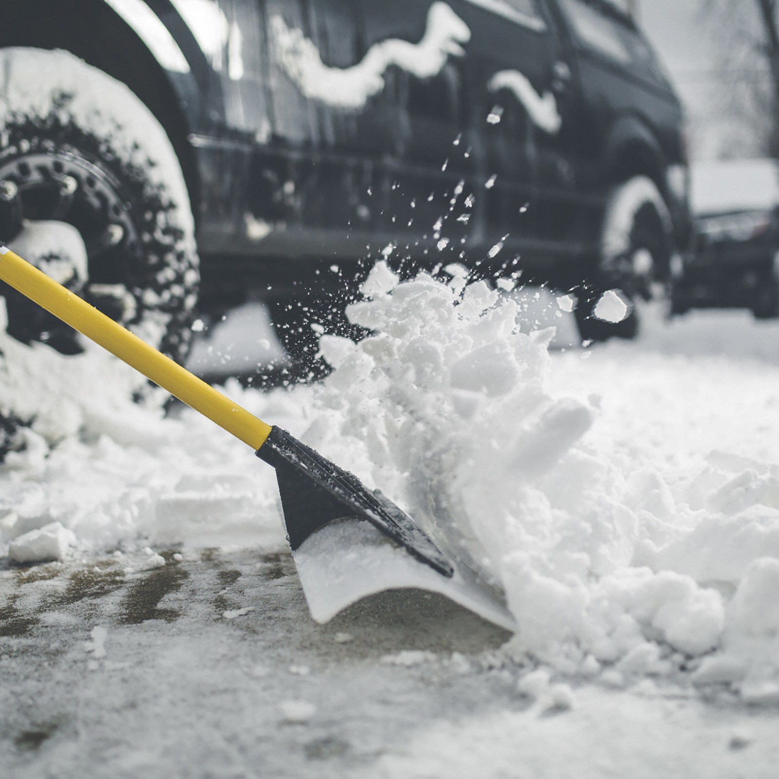 The SnowPlow Snow Pusher, 24in.W, Model# 50524