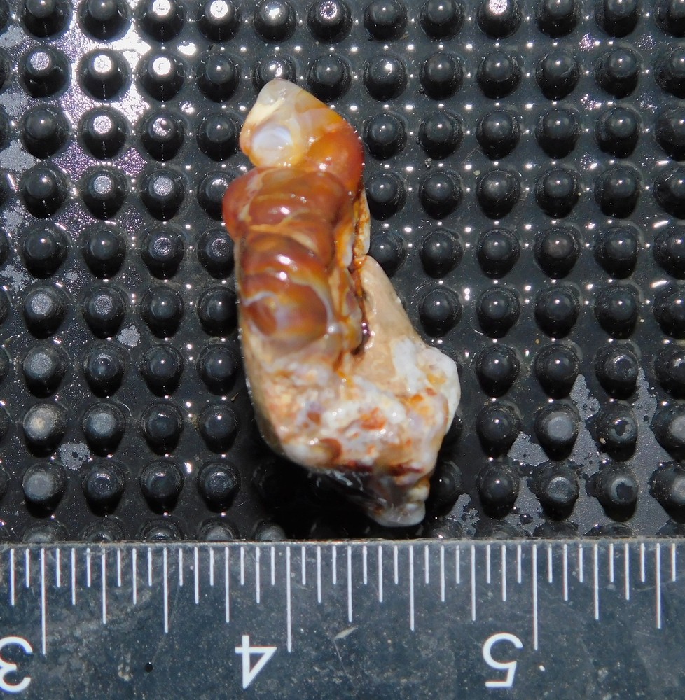 botryoidal Aguascalientes Fire Agate lapidary cabbing rough chunk Mexico 22 gram