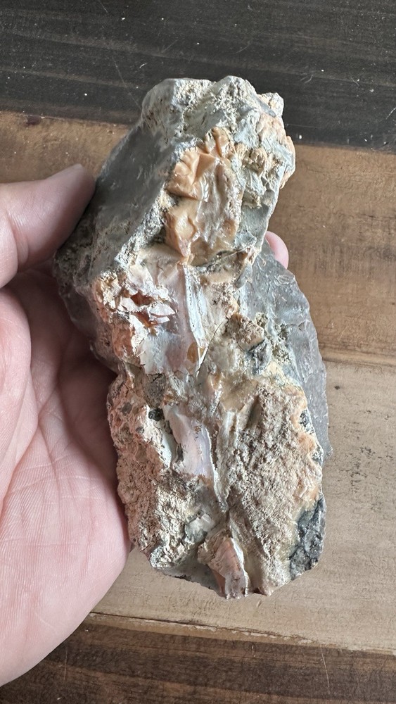 Opalized Petrified Wood For Display Specimen Rough Navada USA