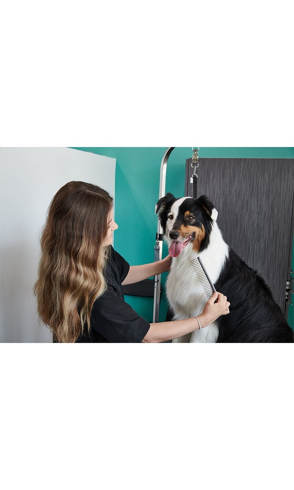 Groomer Essentials Large Coarse Comb
