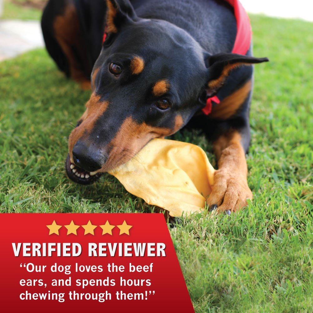 All Natural Beef Cow Ears DOG Treats in bulk SMOKED Flavor