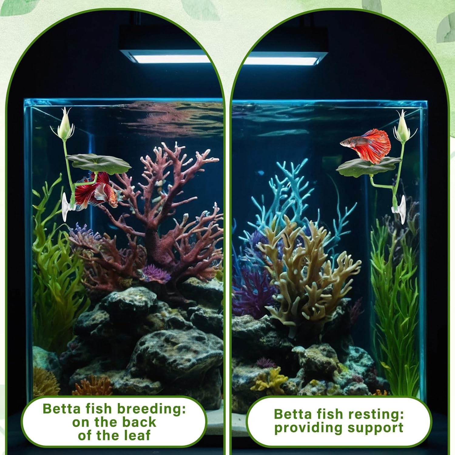 3 Pcs Betta Fish Bed Leaf Hammock Suction Cup Tank Decor 3 X Green