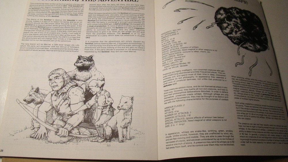 MODULE - UK2 *NICE COPY 1ST PRINT* THE SENTINEL ORIGINAL DUNGEONS DRAGONS