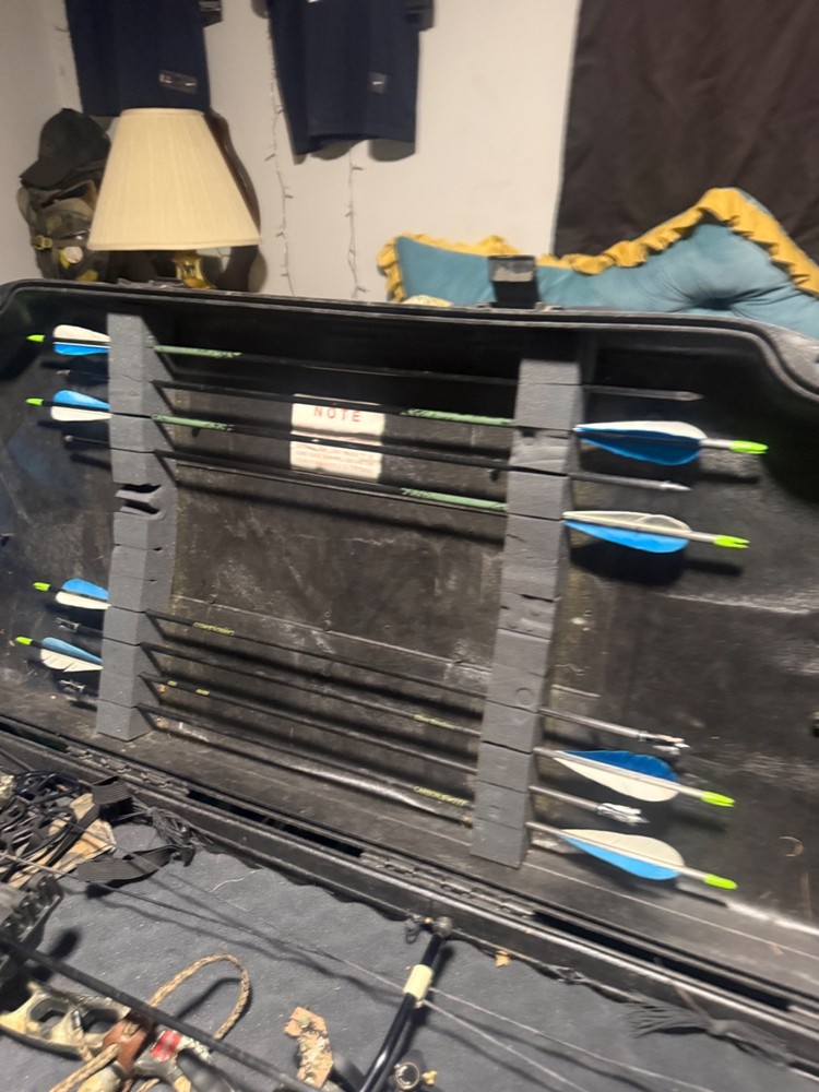 compound bows for hunting