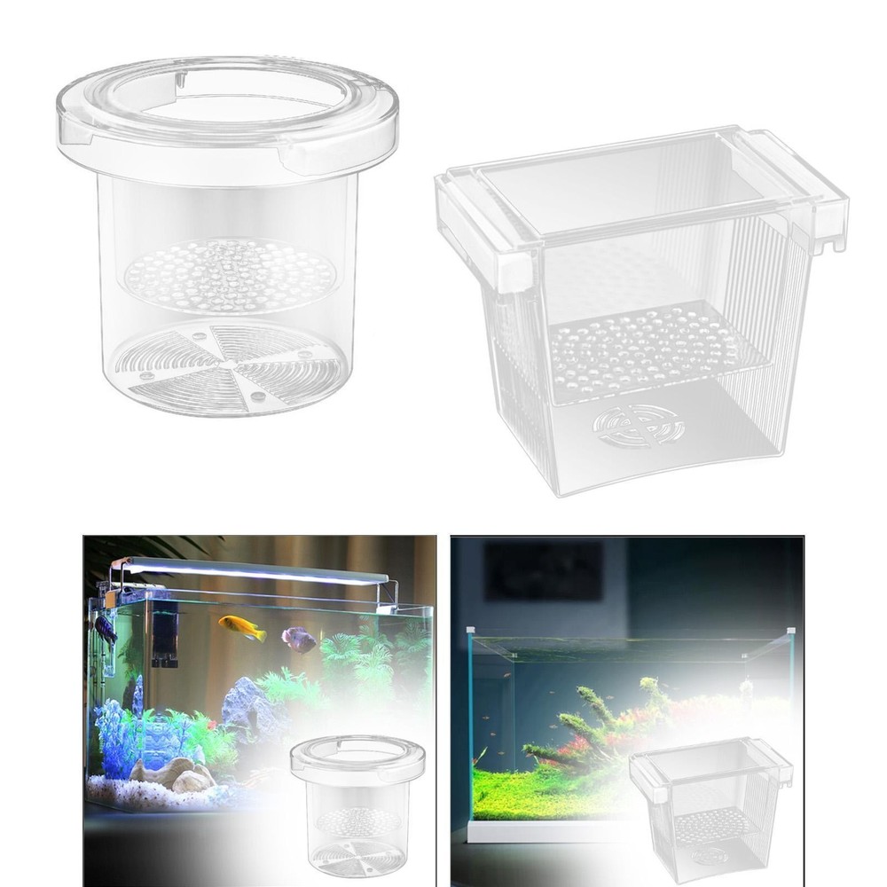 Fish Isolation Box Hatching Boxes Aquarium Accessories Holder Divider with