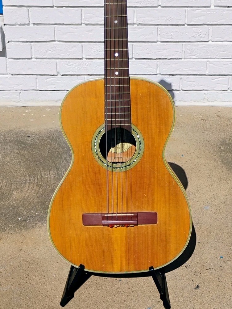 Nardan Acoustic Guitar w/CSC! -LL