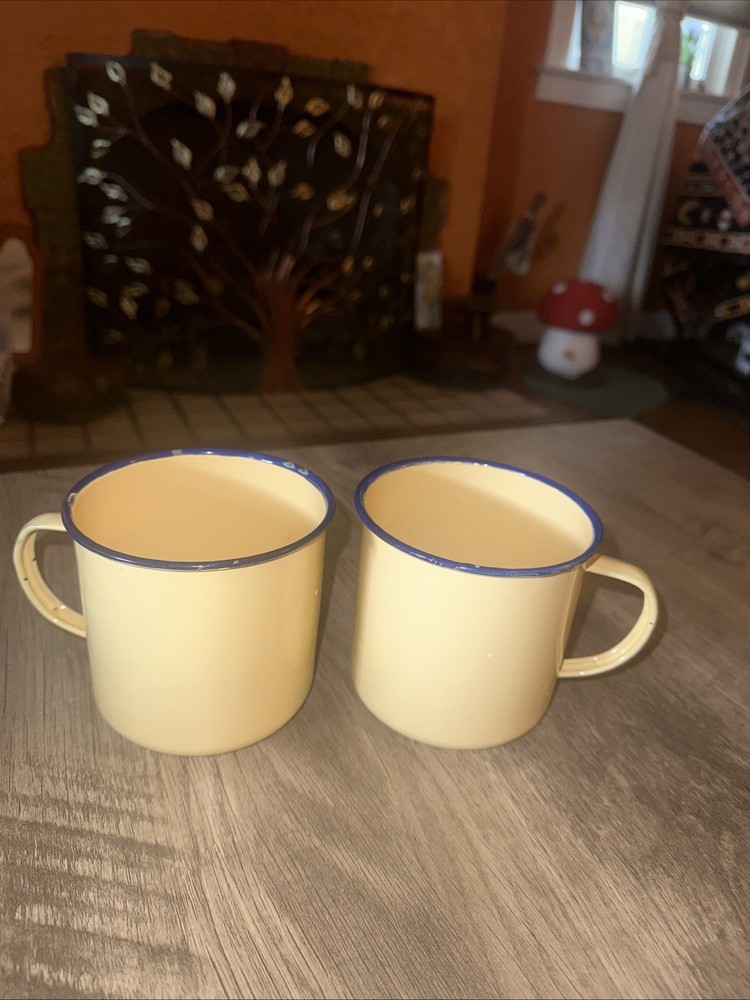Pottery Barn Enamel Ware Camping Cups