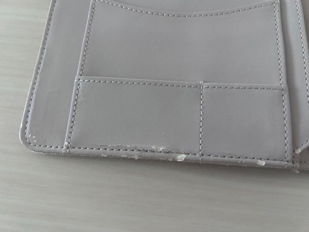 Hobonichi Techo Minapelhonen bird