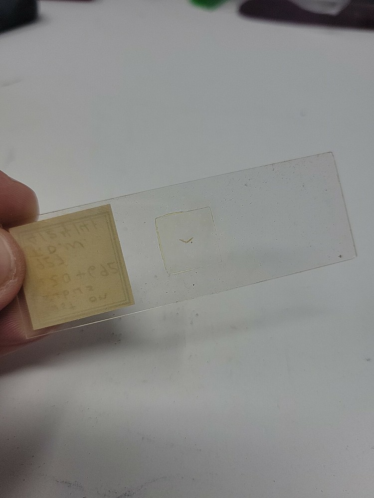 Vintage Microscope Slide 1941