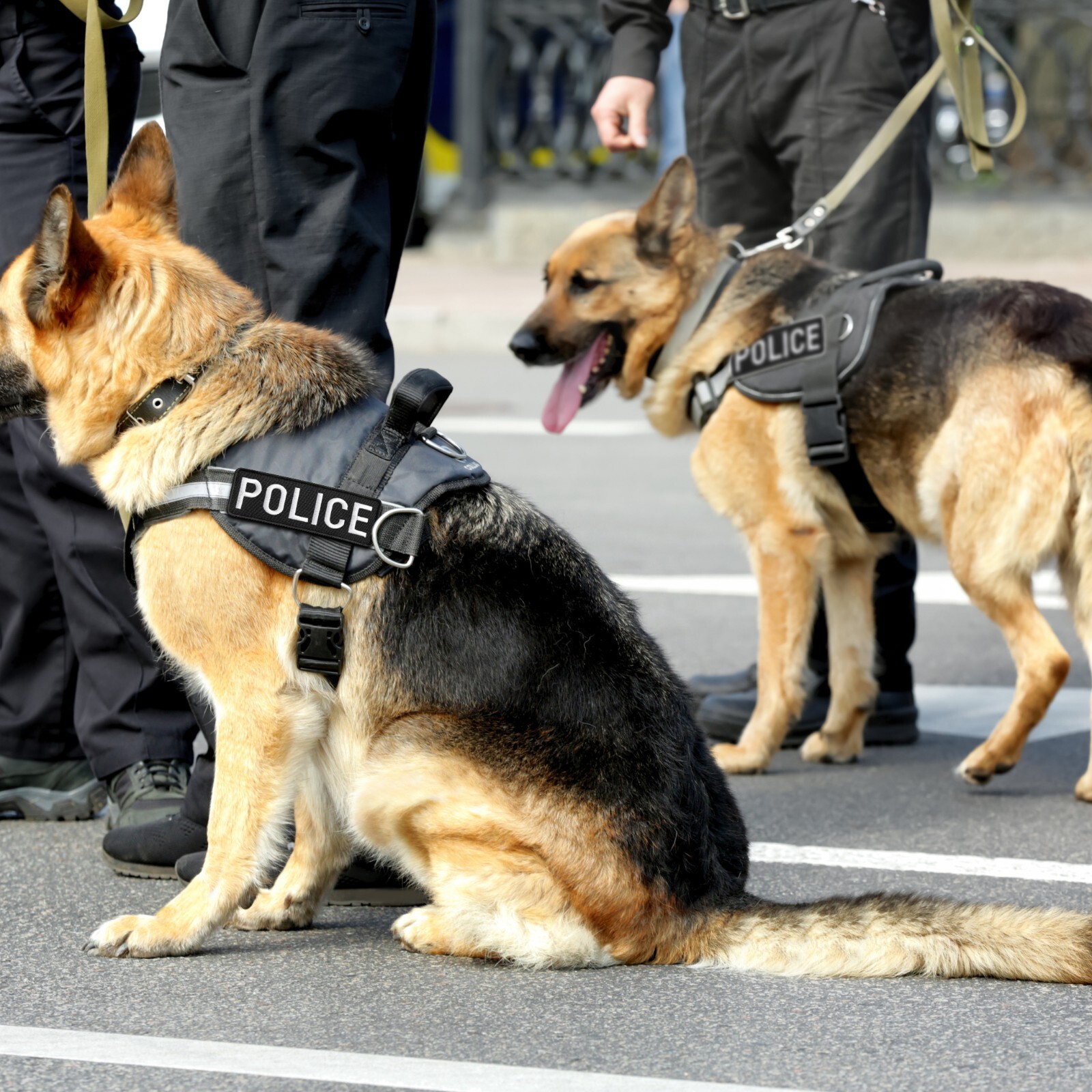 2-Piece Embroidered Police Patch for Vest, Jacket, Hook & Loop, Large & Small