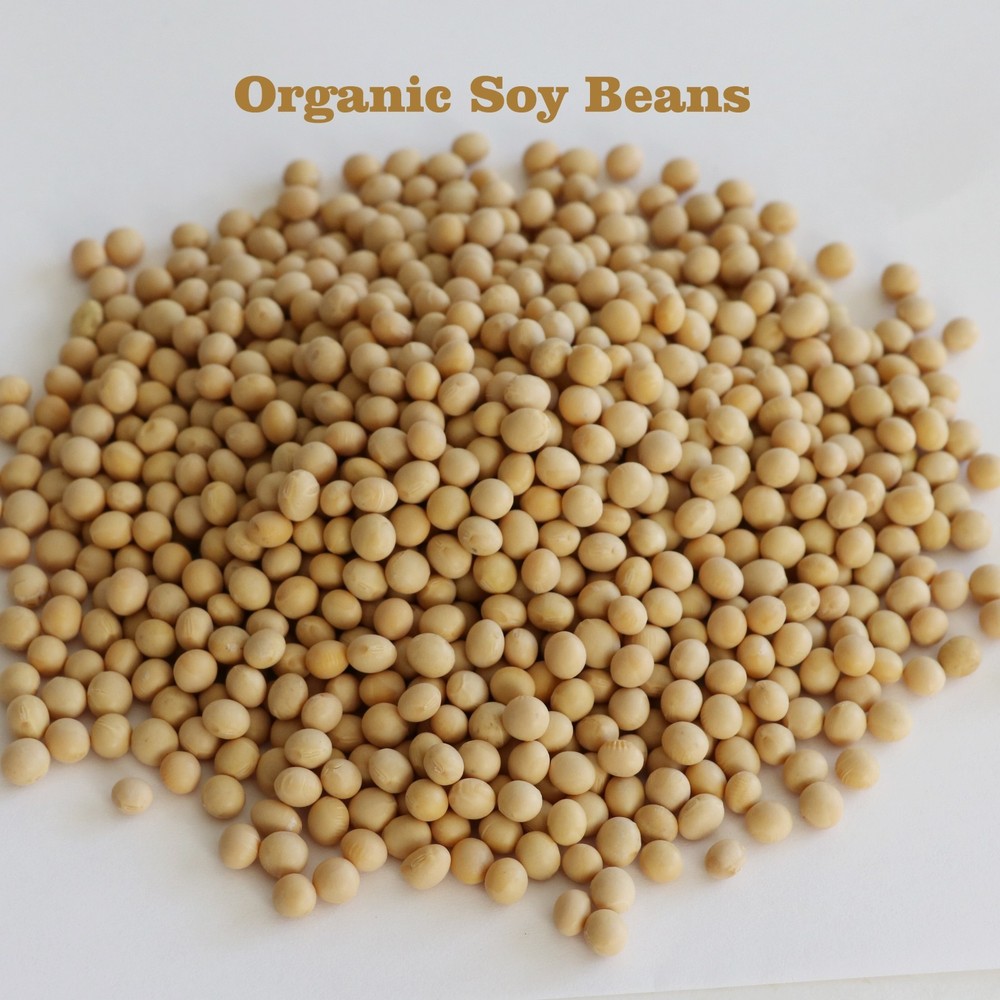 Organic Soy beans, bulk soya soybeans  Non-gmo