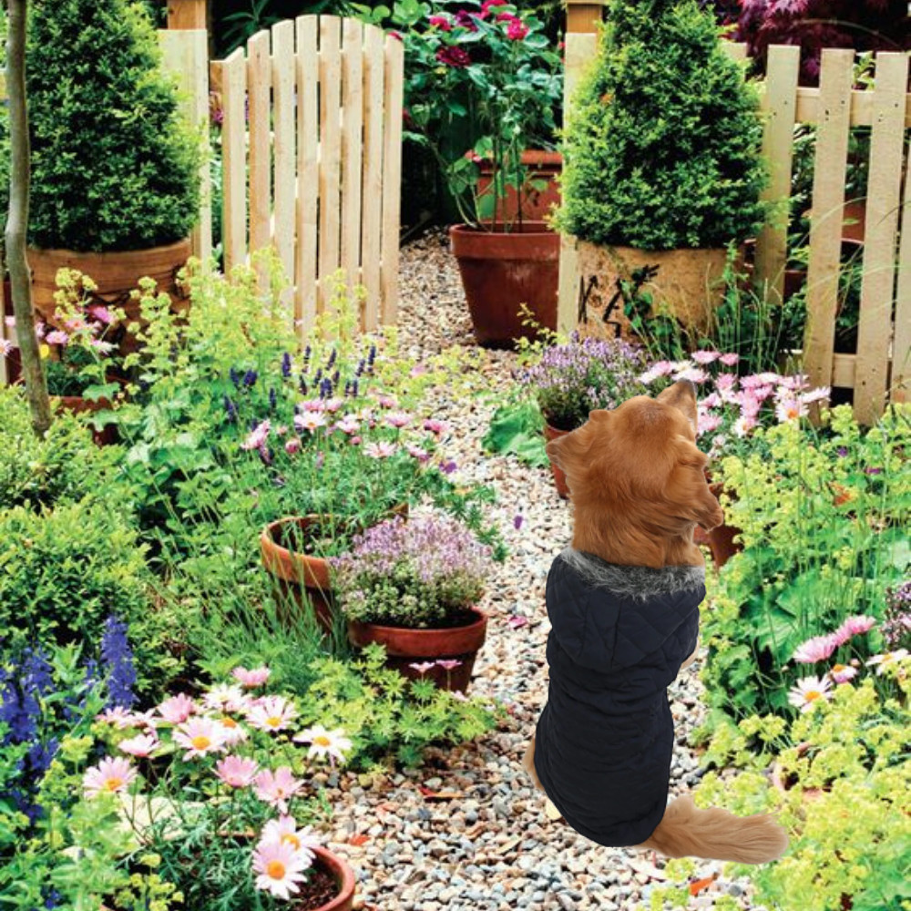 Navy Padded Dog Coat