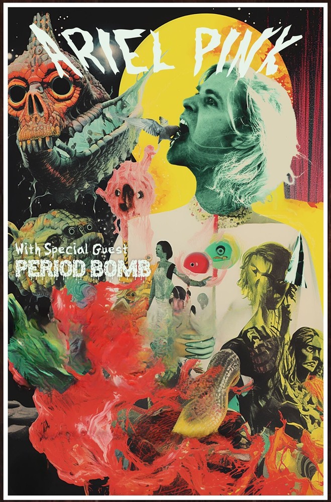 ARIEL PINK Winter Tour 2024 Ltd Ed RARE Poster! Indie Rock Lo-Fi Hypnagogic Pop
