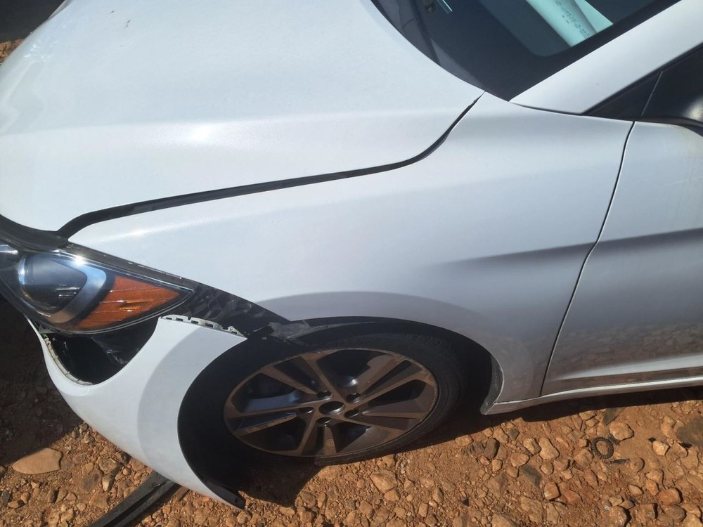 ELANTRA 2017 Glove Box 4797969